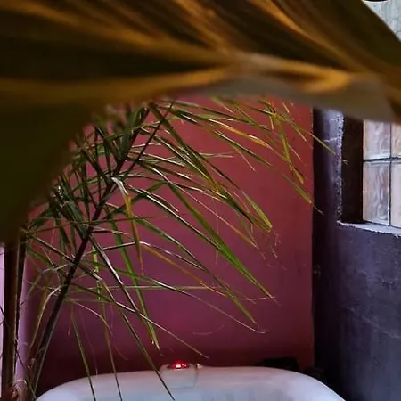 L'apotheose Love hôtel