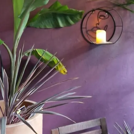 L'apotheose Apartamento